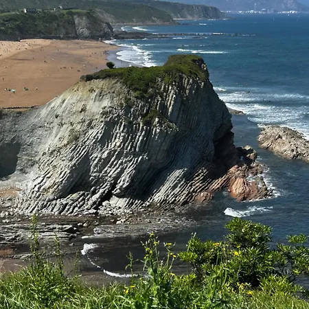 Reef View
